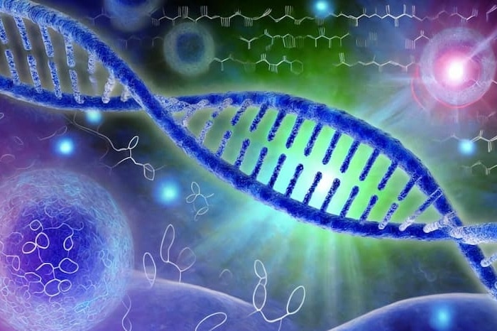 El ADN y su Impacto en la Evolución: Cómo la Biología Molecular Transformó Nuestra Comprensión del Genoma Humano El ADN y su impacto en la evolucion