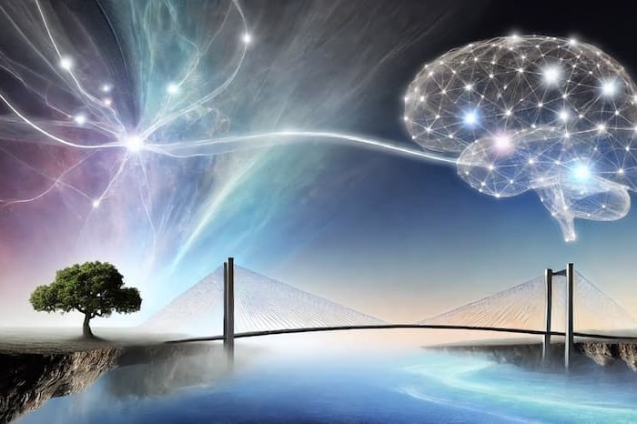innovacion y creatividad en el emprendimiento